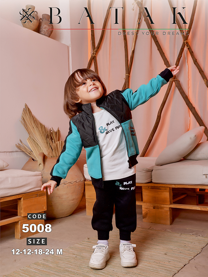 Model 5008